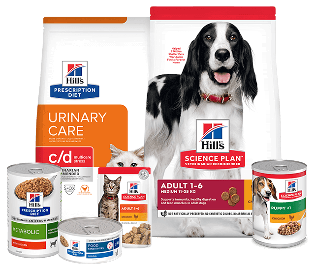 hillspet-homepage-heropack