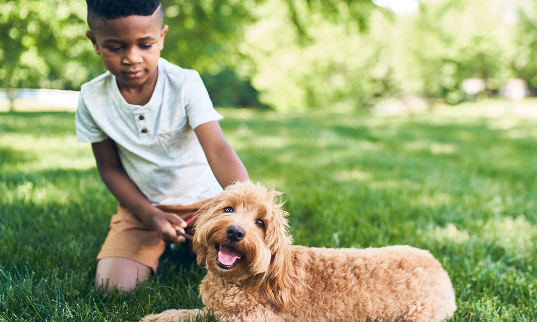 kid with his dog in the garden